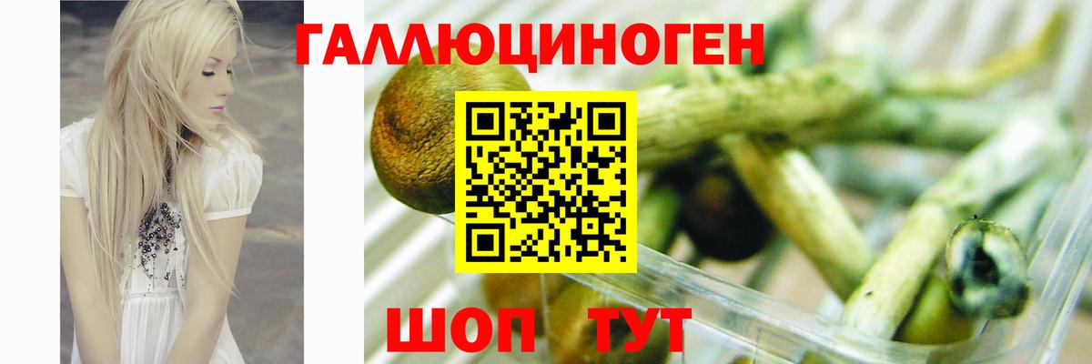 Псилоцибиновые грибы MAGIC MUSHROOMS  Вход с VPN  Серпухов 